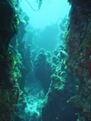 Caverns, Andros, BAHAMAS