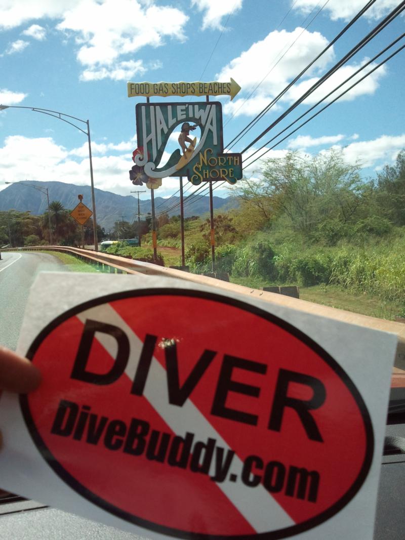 DiveBuddy in Haleiwa, North Shore- HAWAII