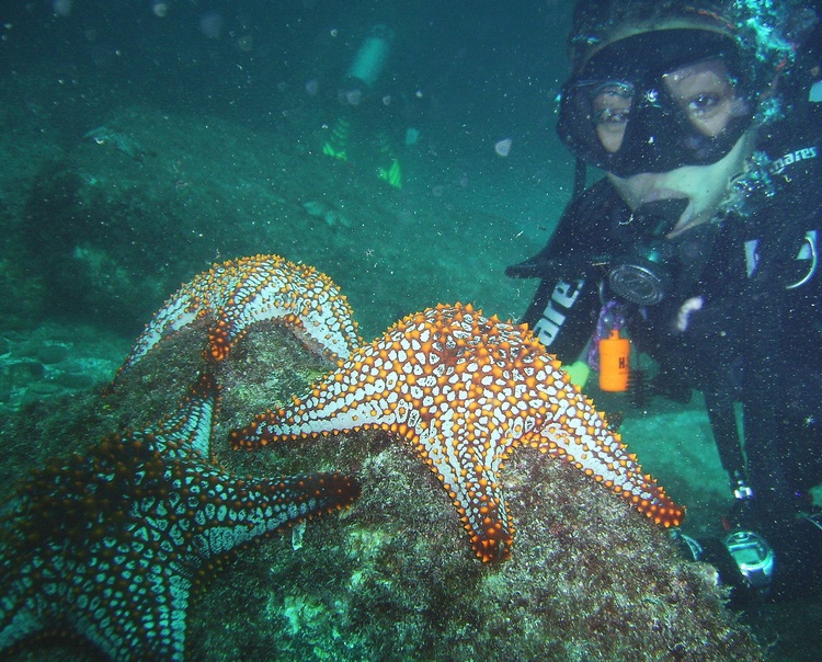 Starfish and me! Loreto Nov. 2, 2007