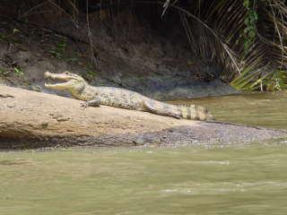 Just waiting for me to begin my dive