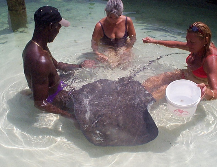Feeding a ray - Bahamas 2004