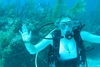 Melisa the dive buddy