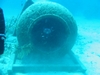 Tank diving
