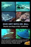 My upcoming DVD on Sharks & Rays to be released Feb 2008
