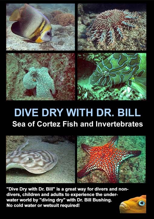 My Sea of Cortez DVD cover