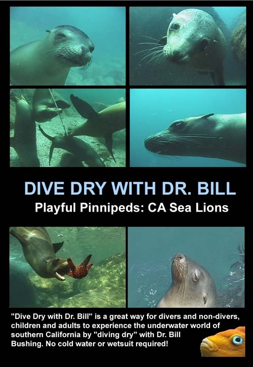 My Playful Pinnipeds: California Sea Lions DVD cover