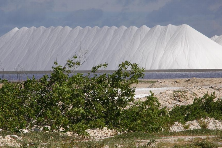 Salt Piles - Bonaire