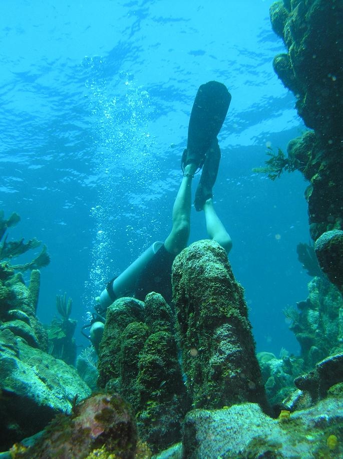 Roatan 2007