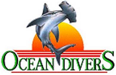 Ocean Divers (posted with permission for my Blogs)