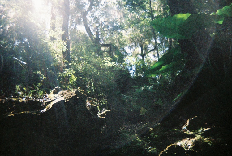 Paradise Springs