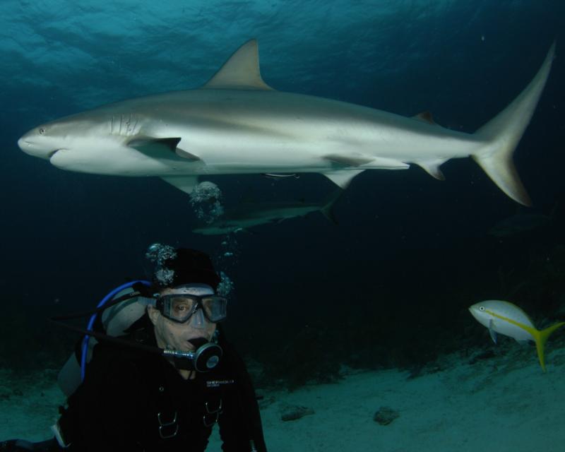 Jepoy & the shark