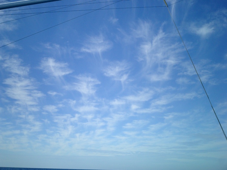 stingray sky