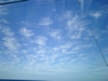 stingray sky