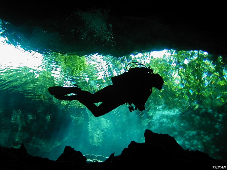 Rosie in a Cenotes