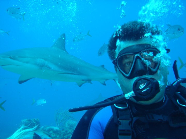 Reef Sharks Roatan 2005