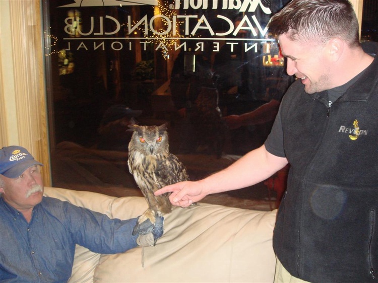 Owl from Harry Potter films still have all my fingers 
