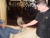 Owl from Harry Potter films still have all my fingers 
