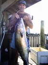 Another large Amberjack speared on the Outer Banks NC