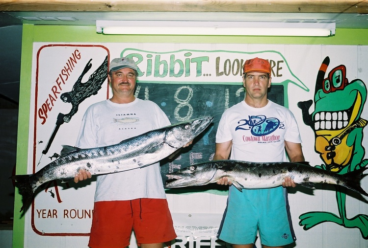 Barracuda spearfishing bounty at Port Aransas TX