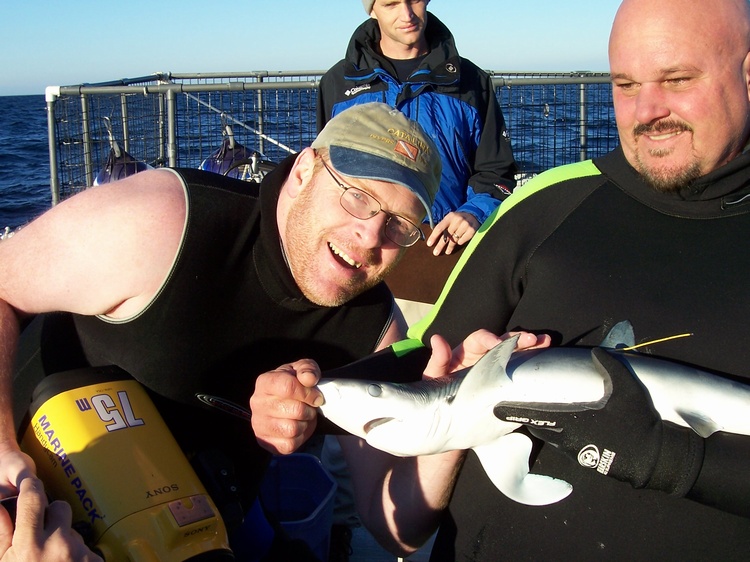 Shark Diving on the Aquatica, Dec 03, 2005