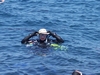 Adjusting my hat before descending for Deep Specialty at Casino Pt., Catalina, Aug 5, 2007