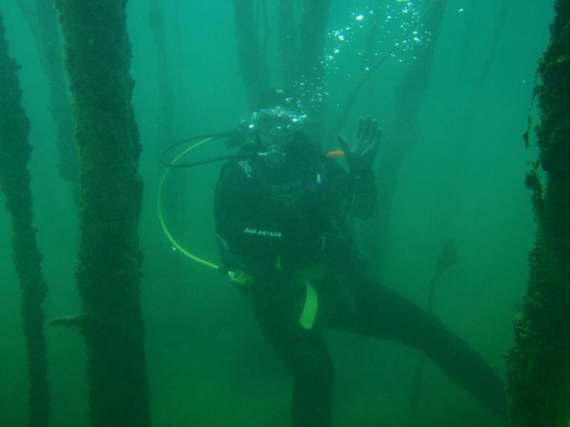 Gilboa Quarry - underwater forest