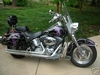 My new Harley