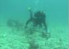 Diving in Key Biscayne