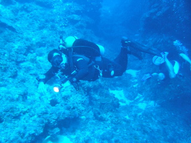 Reef Dive