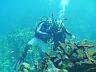 My wife (Nicole) and me - diving reef of Jamaica