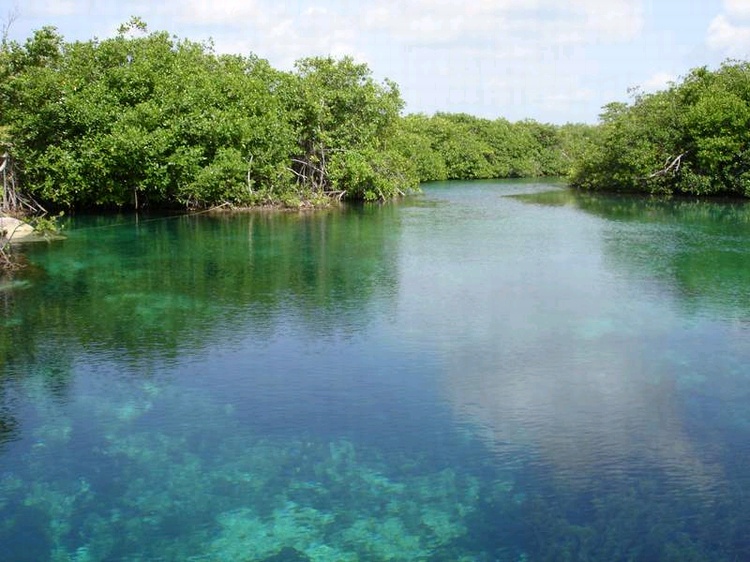 Manatee Cenote - Tankah Tres - Quinta Roo Mexico