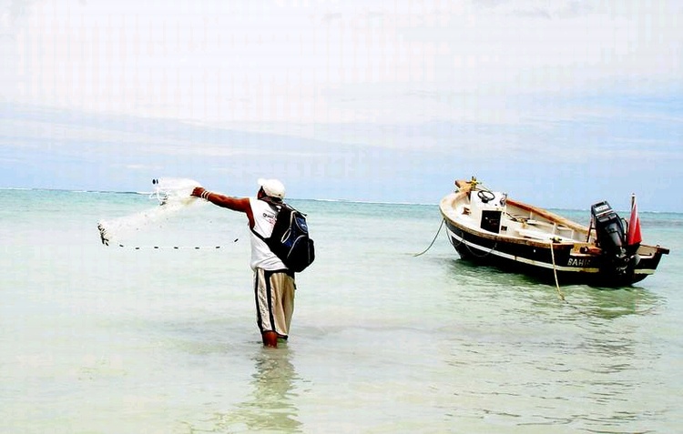 Fishing for anchovies on the beach.