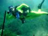 Aquarena Springs Science Divers