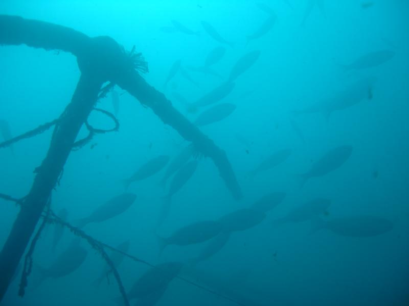 Starboard bow, officers’ deck