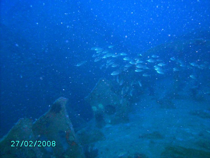outer hull erroded away on U-352