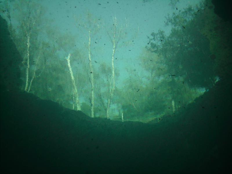 Manatee Springs State Park, FL