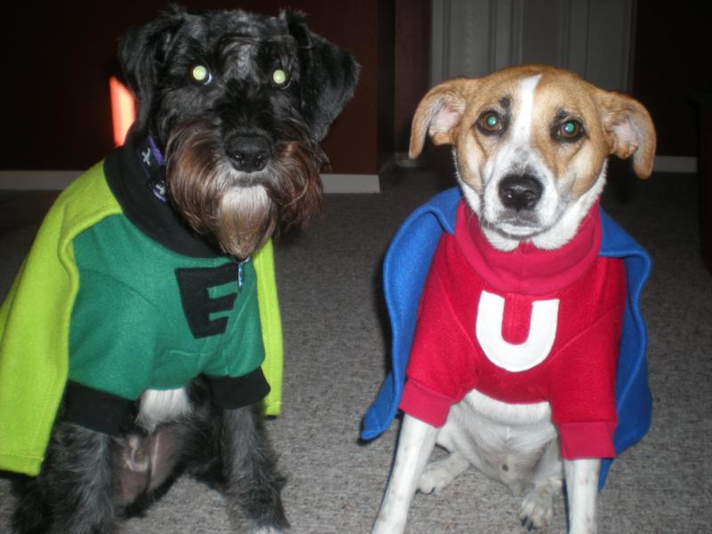 My boys dressed for Howloween