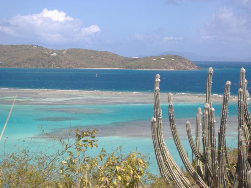 culebra