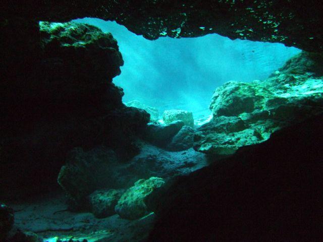 Ginnie Springs cavern view