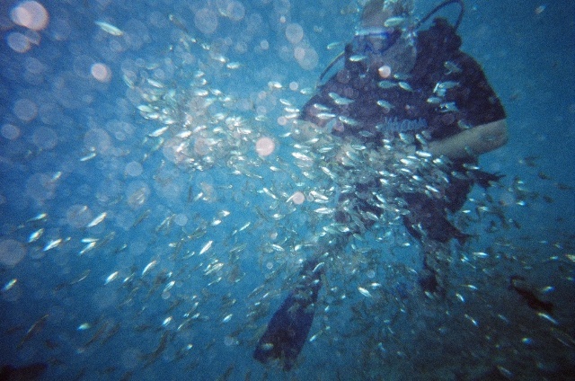 Me diving at Balmorhea