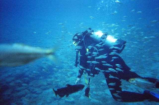 Diana diving at Balmorhea