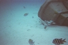 Underwater in Cozumel