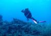 Dive Buddy Carla Dancing in  Belize 2009