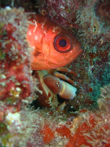 key largo trip