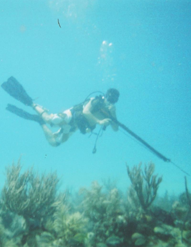 Spearfishing - Florida Keys