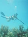 Spearfishing - Florida Keys
