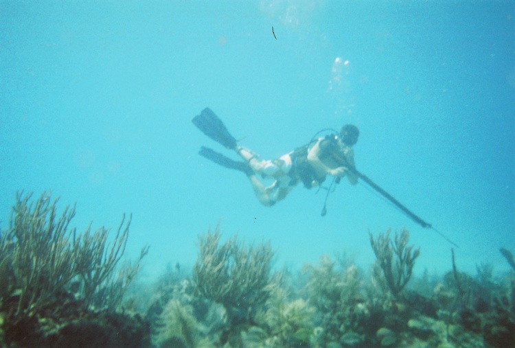 Spearfishing 4 miles off Islamorada