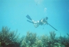 Spearfishing 4 miles off Islamorada