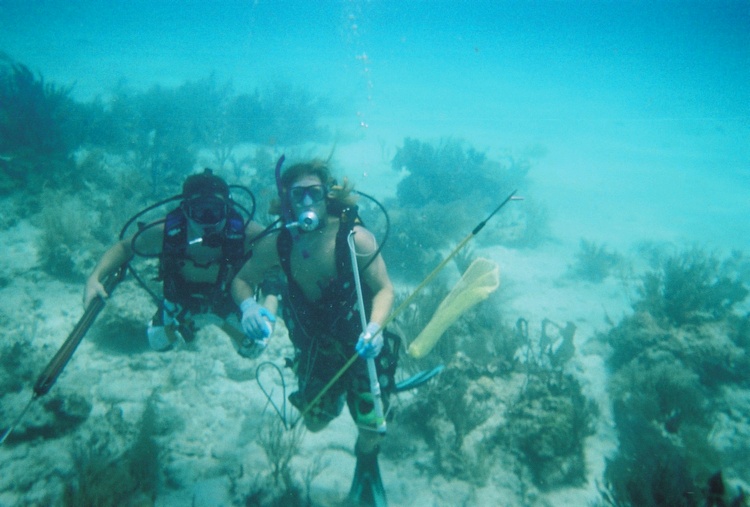 Dive Buds