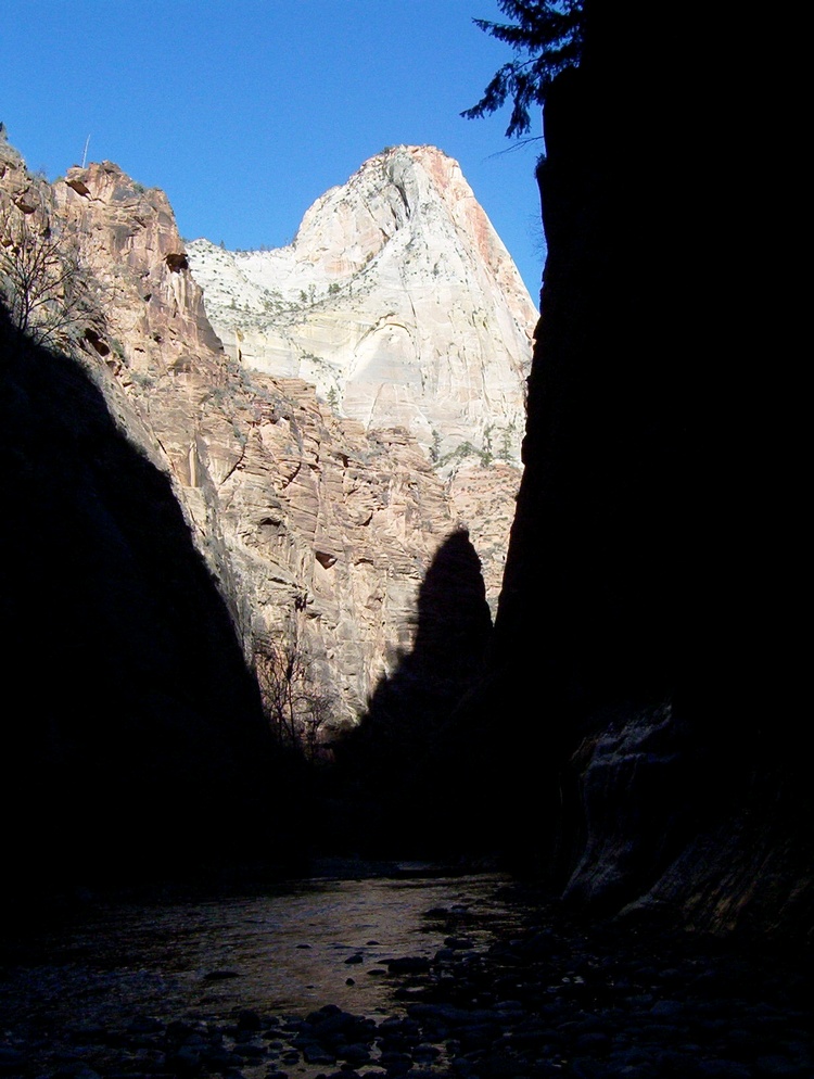 Hiking in Zions